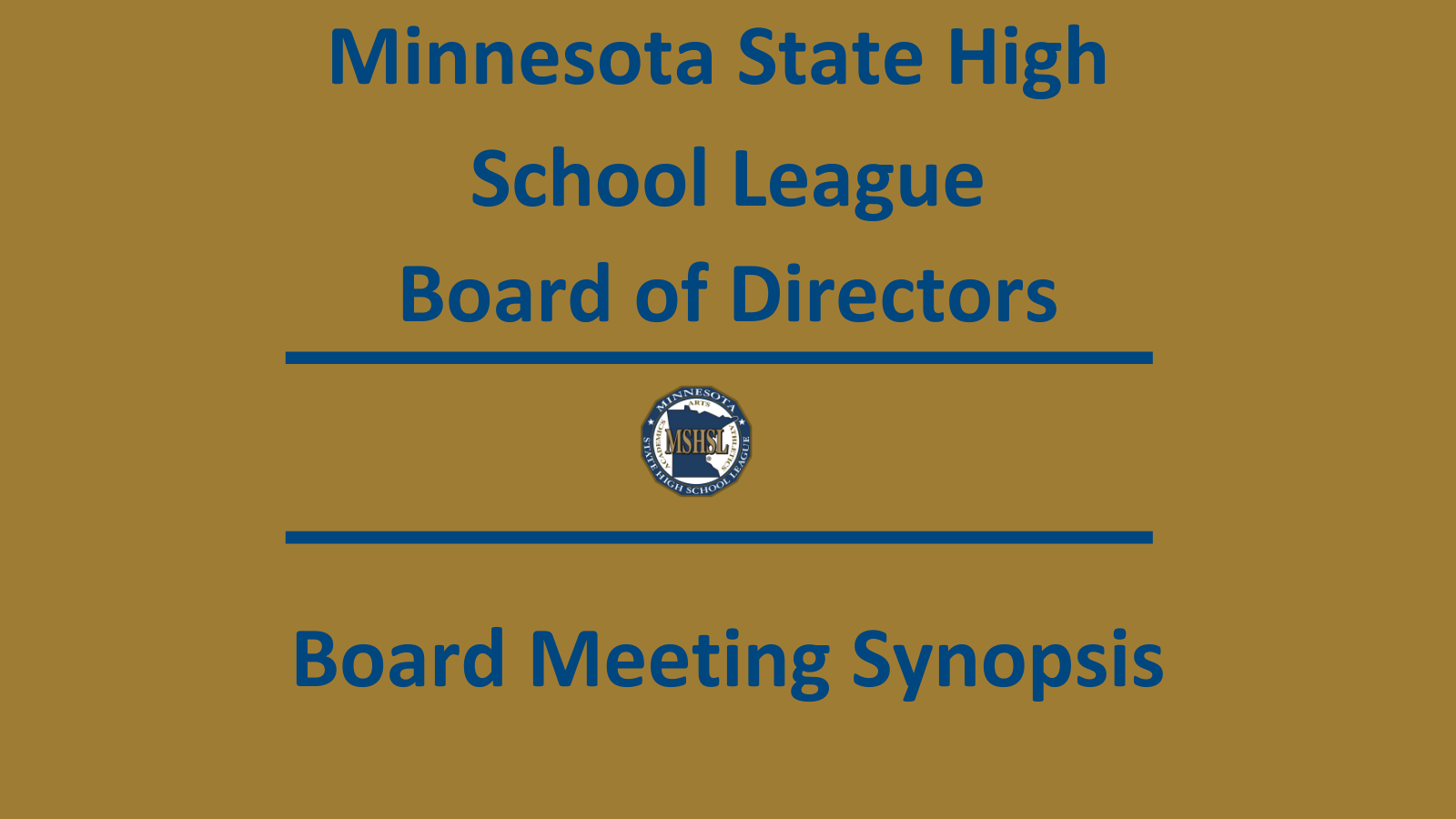 Board of Directors Synopsis