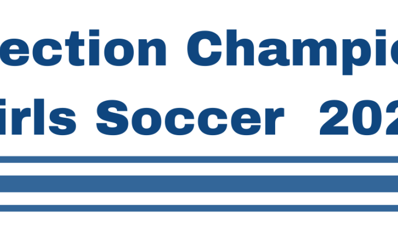 Section Girls Soccer header