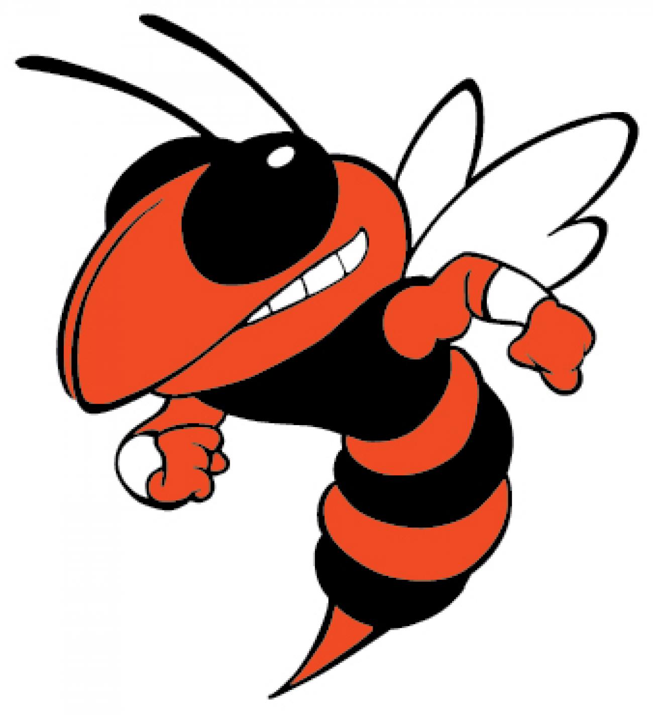 Hornet Logo