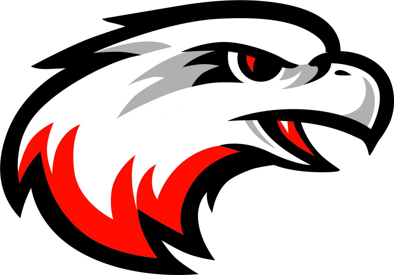 White Hawks