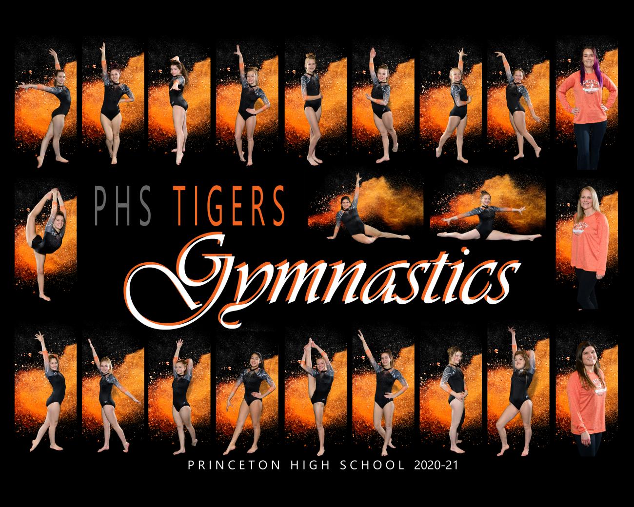 Princeton Gymnastics