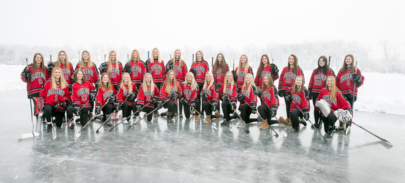 2020-2021 Alexandria Girls Hockey