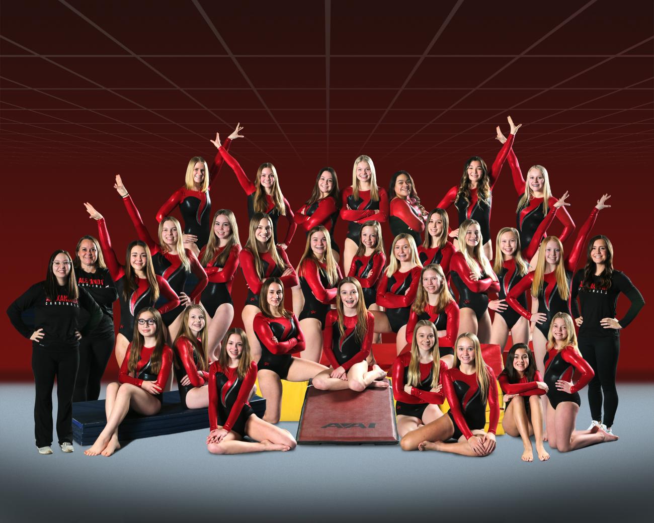 2020-2021 Alexandria Gymnastics