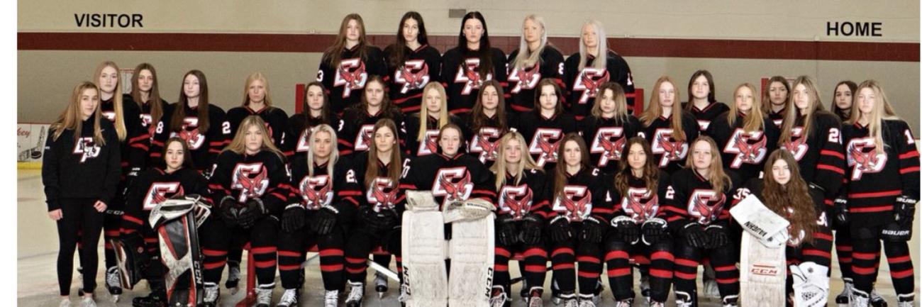 Eden Prairie Girls Hockey 20-21
