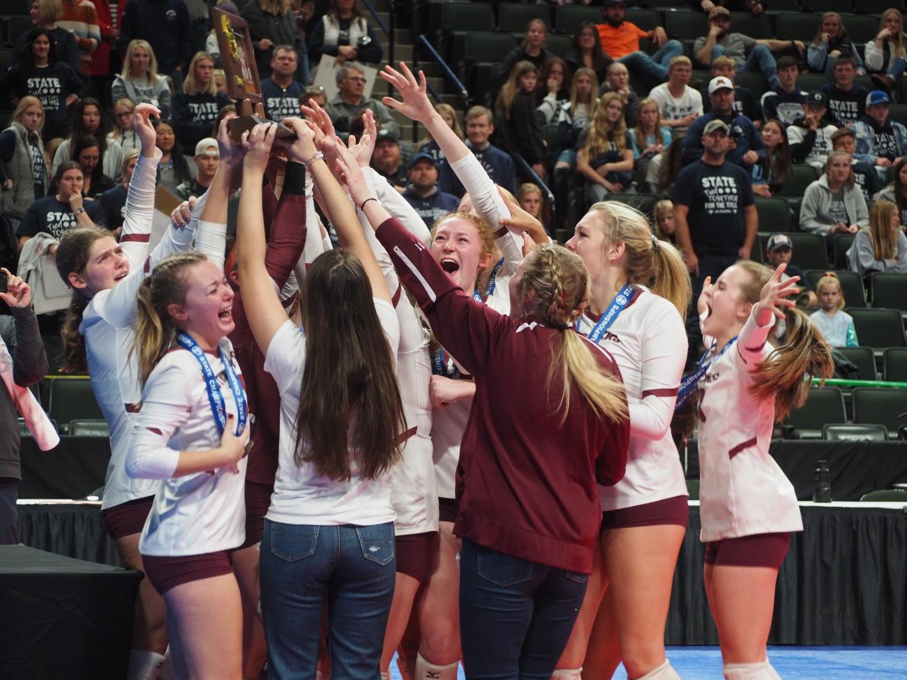 volleyball celebration