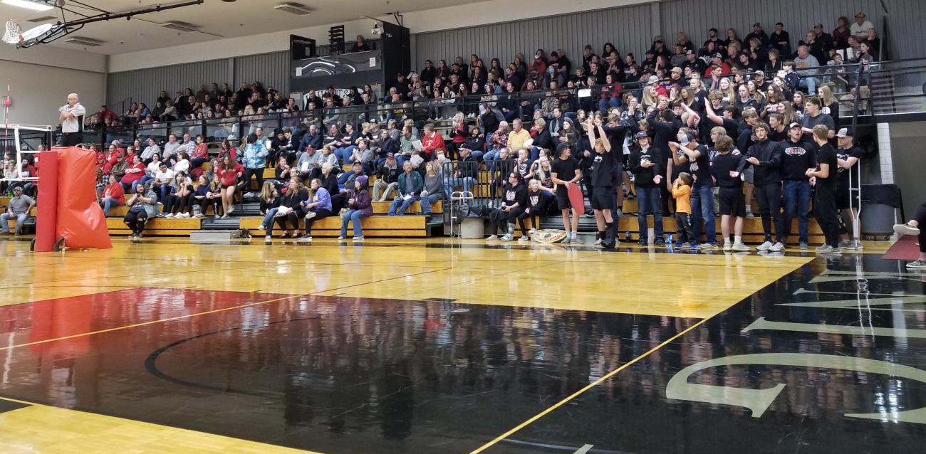 Crowd cheering at a volleyball match