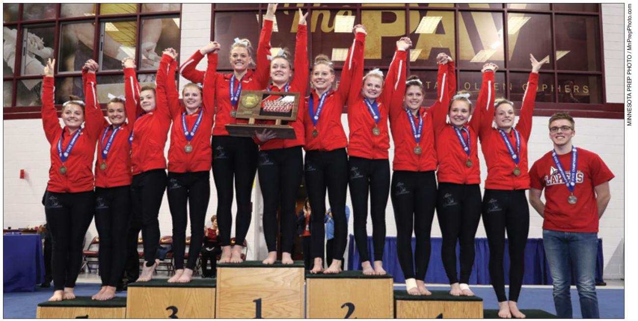 2018 Detroit Lakes Girls Gymnastics Championship Photo