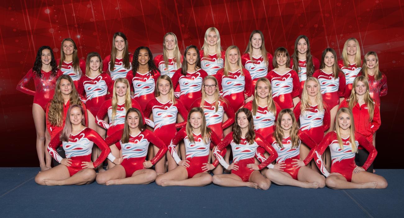 2019 Detroit Lakes Girls Gymnastics Championship Photo