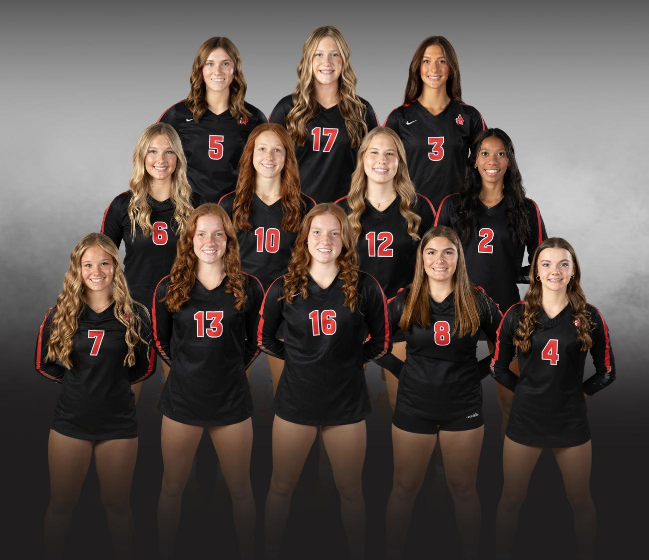 2024 Mayer Lutheran Volleyball Championship Photo