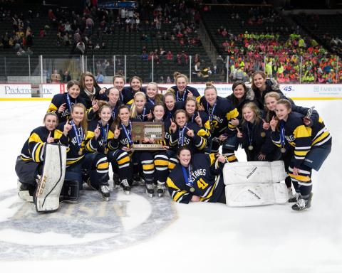 Breck Girls Hockey