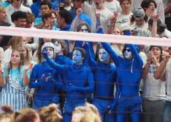 Rogers blue
