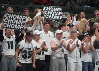 Gator chomp